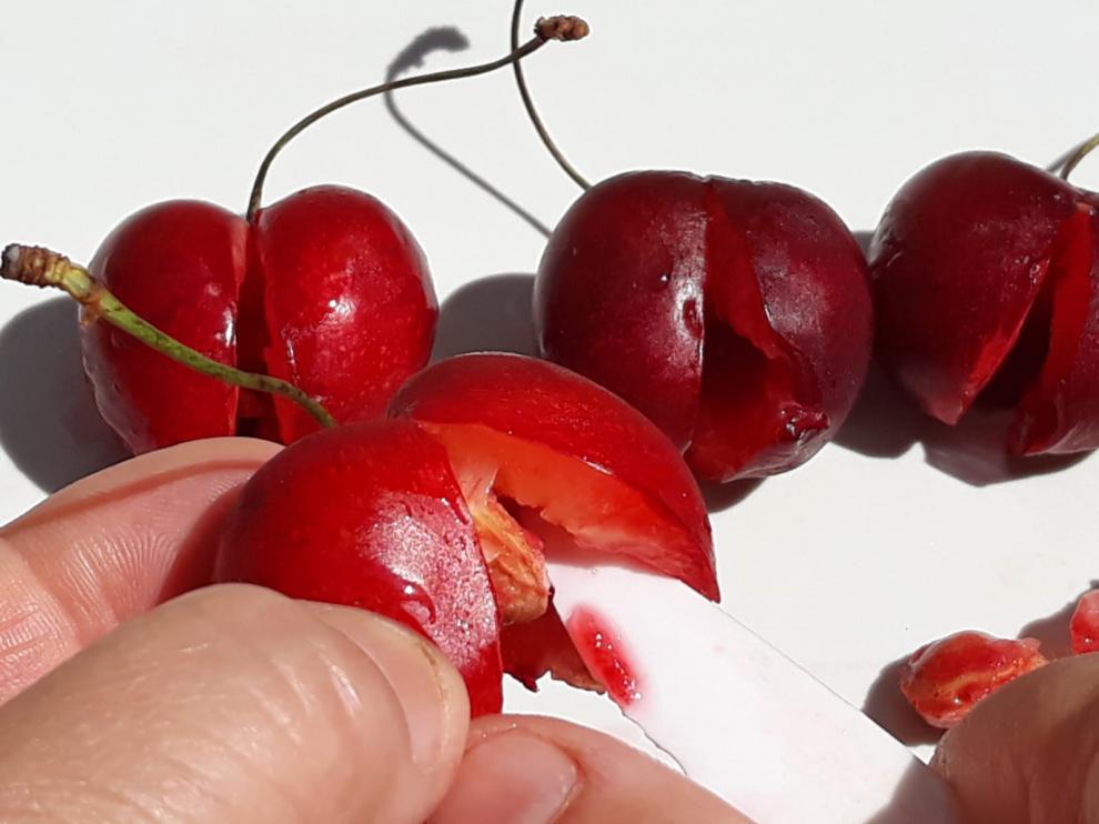 Deshuesando cerezas para elaborar un postre con bombones.