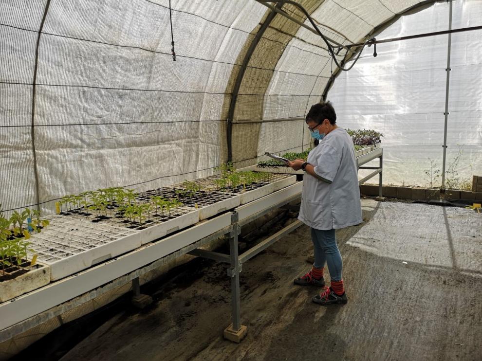 Los trabajadores han comenzado su vuelta a las instalaciones del Centro de Investigación y Tecnología Agroalimentaria