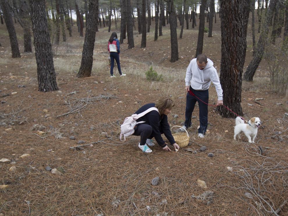 Recolectores de setas en la Sierra de Albarracín.