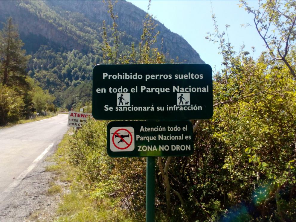 Un cartel advierte de la prohibición de llevar perros sueltos.