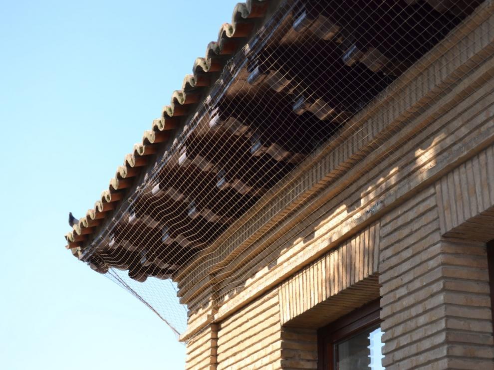 El alero del colegio se ha protegido de las aves con una red.