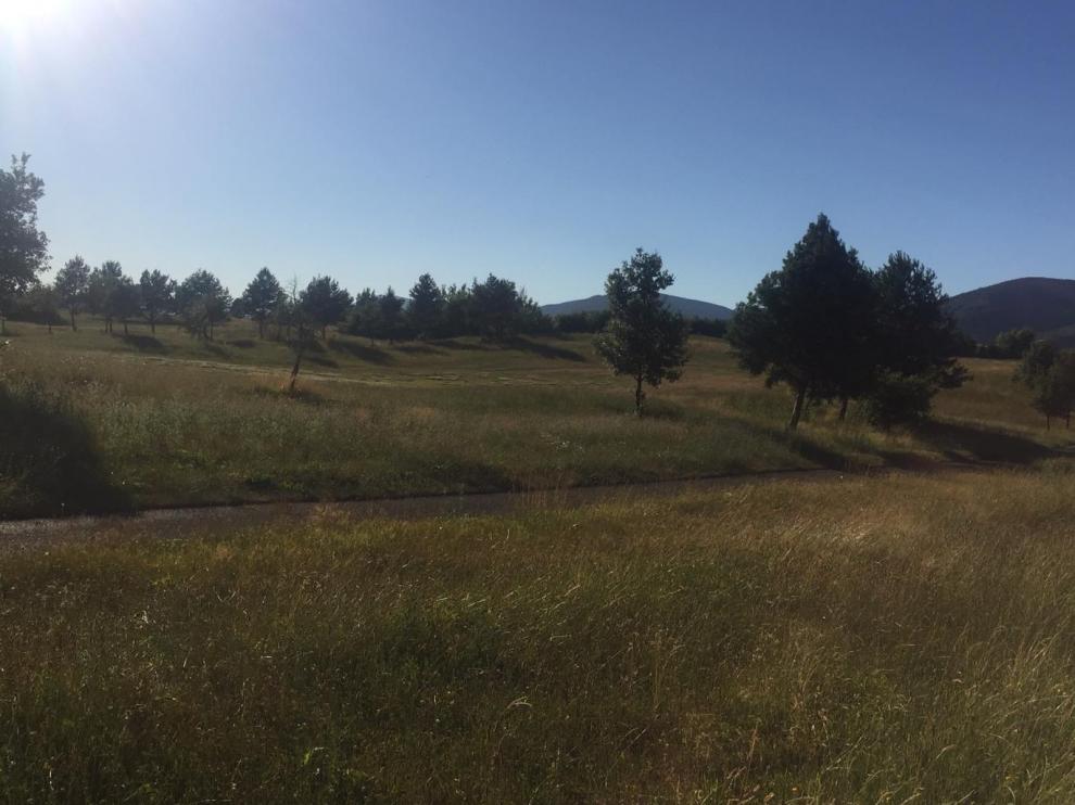 El campo presenta un deterioro importante salvo la zona de los greens.