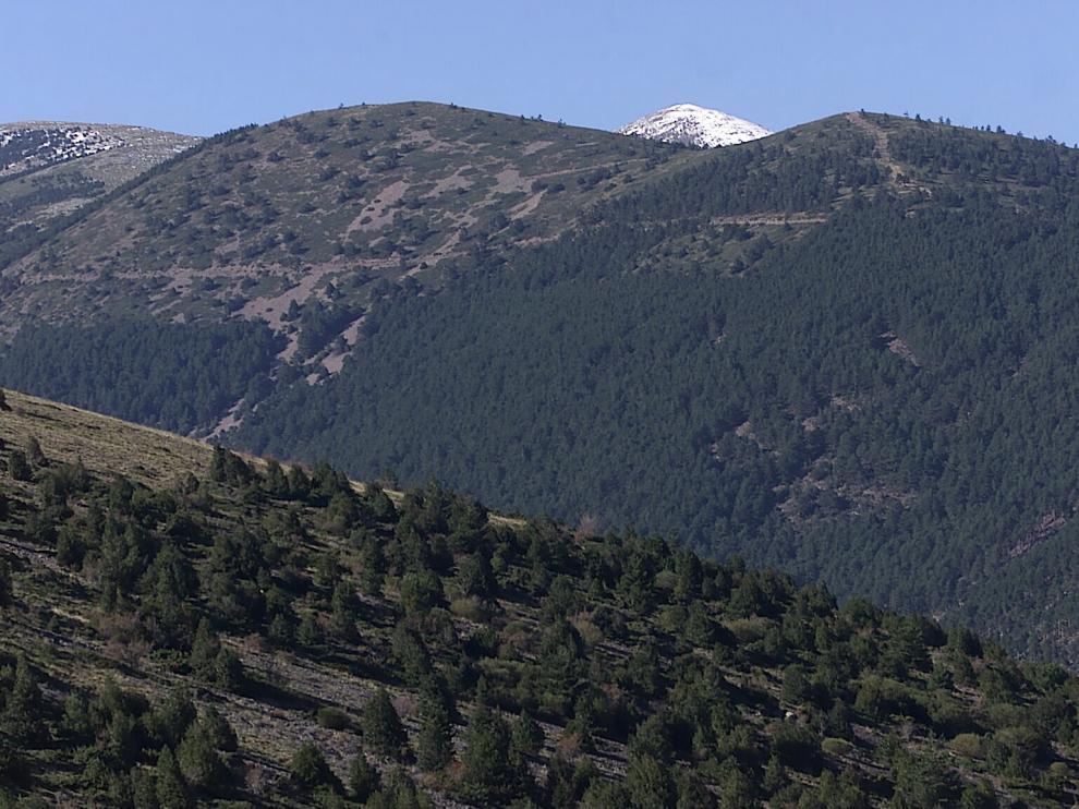 El Parque Natural del Moncayo es uno de los destinos más elegidos por las familias para hacer senderismo.