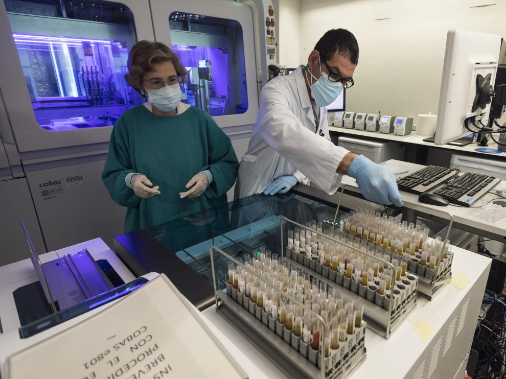 Los investigadores del servicio de Microbiología del hospital Miguel Servet.