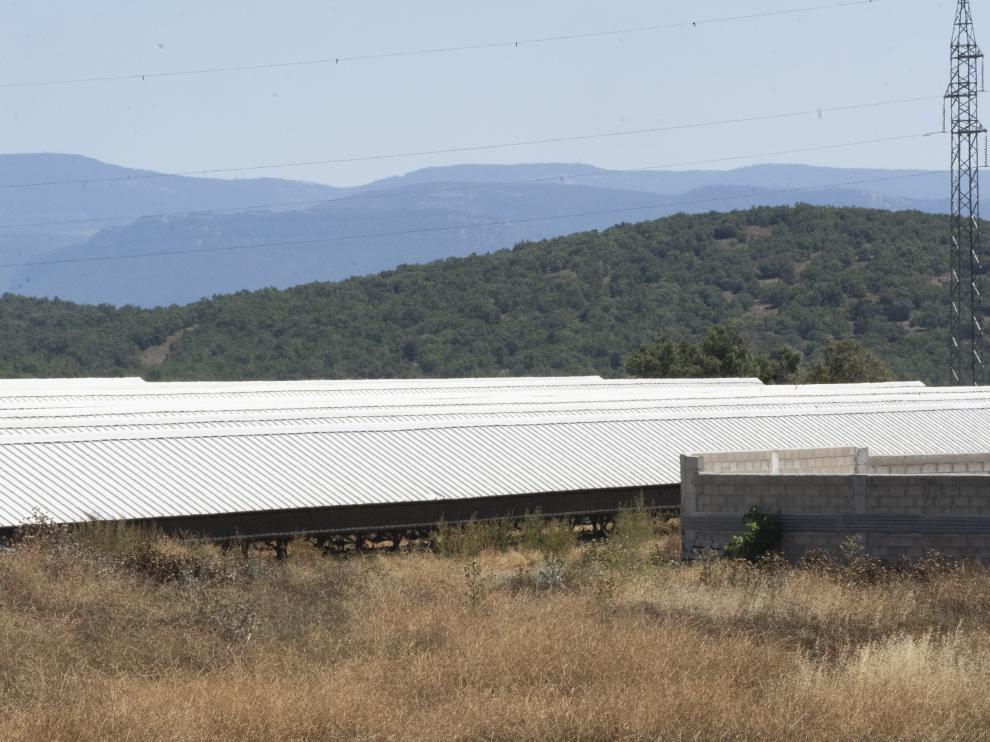 Granja de visones en la Puebla de Valverde, a la que la DGA ha ordenado sacrificar a mas de 90.000 ejemplare