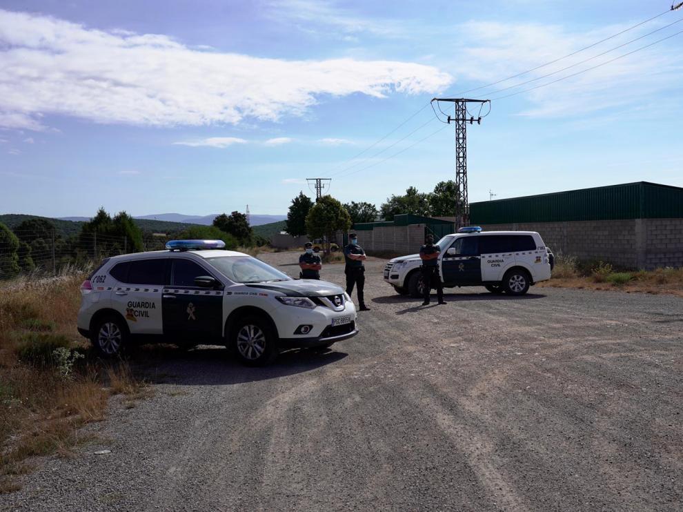 Arranca el sacrificio de los 93.000 visones de la granja de la Puebla de Valverde por un contagio masivo de la covid-19