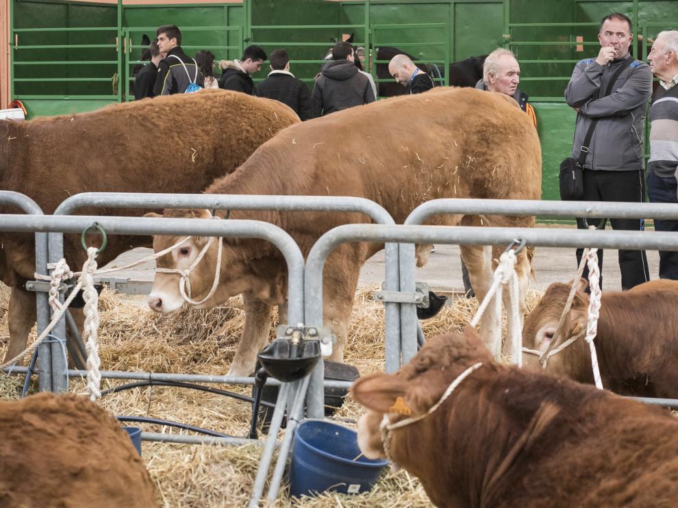 La presencia de animales vivos es uno de los atractivos de Figan