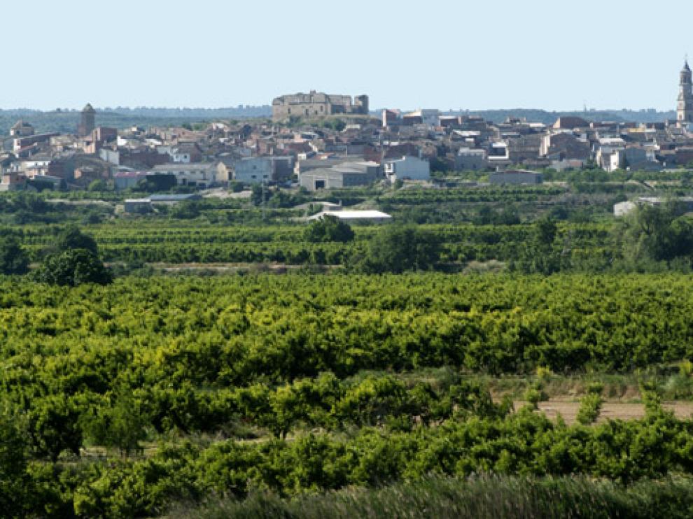 Presseguers amb Maella al Fons