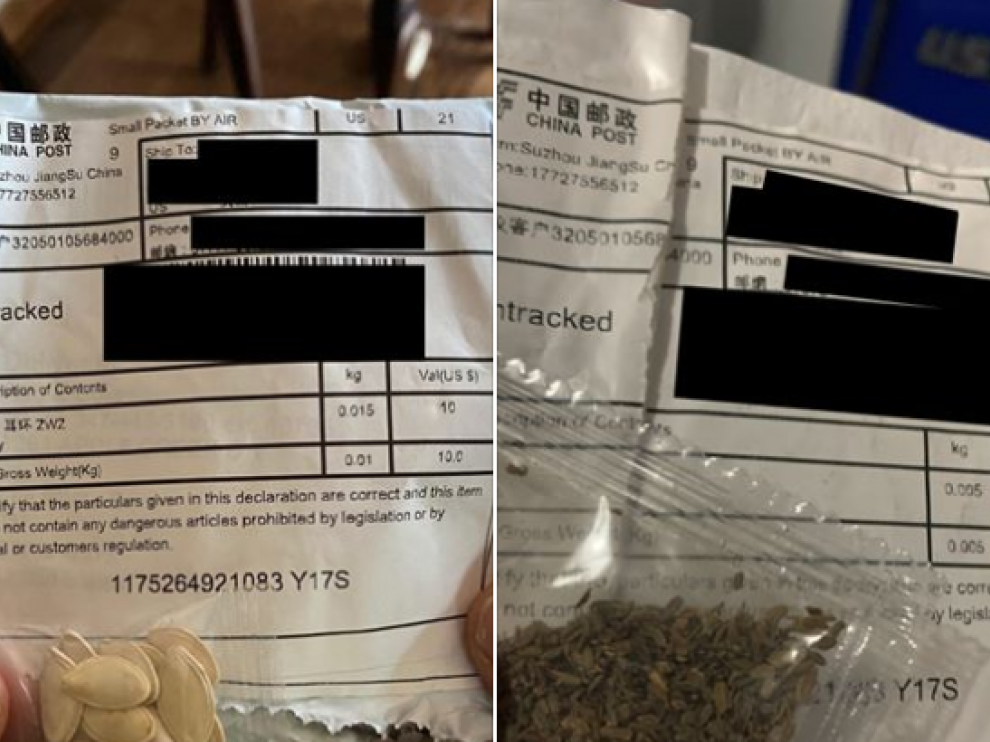 Algunos de los paquetes de semillas recibidos