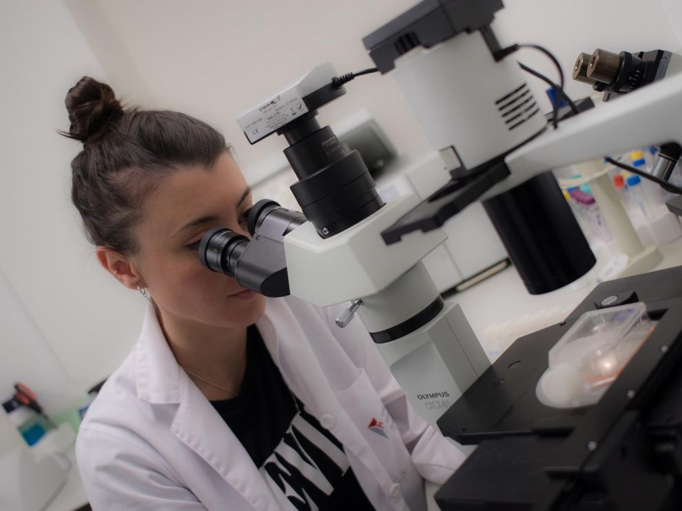 Investigaciones para frenar el coronavirus.