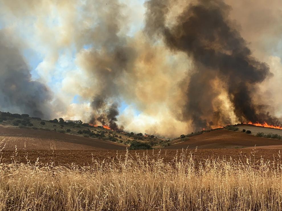 Un incendio entre Madrid y Guadalajara obliga a desalojar dos urbanizaciones