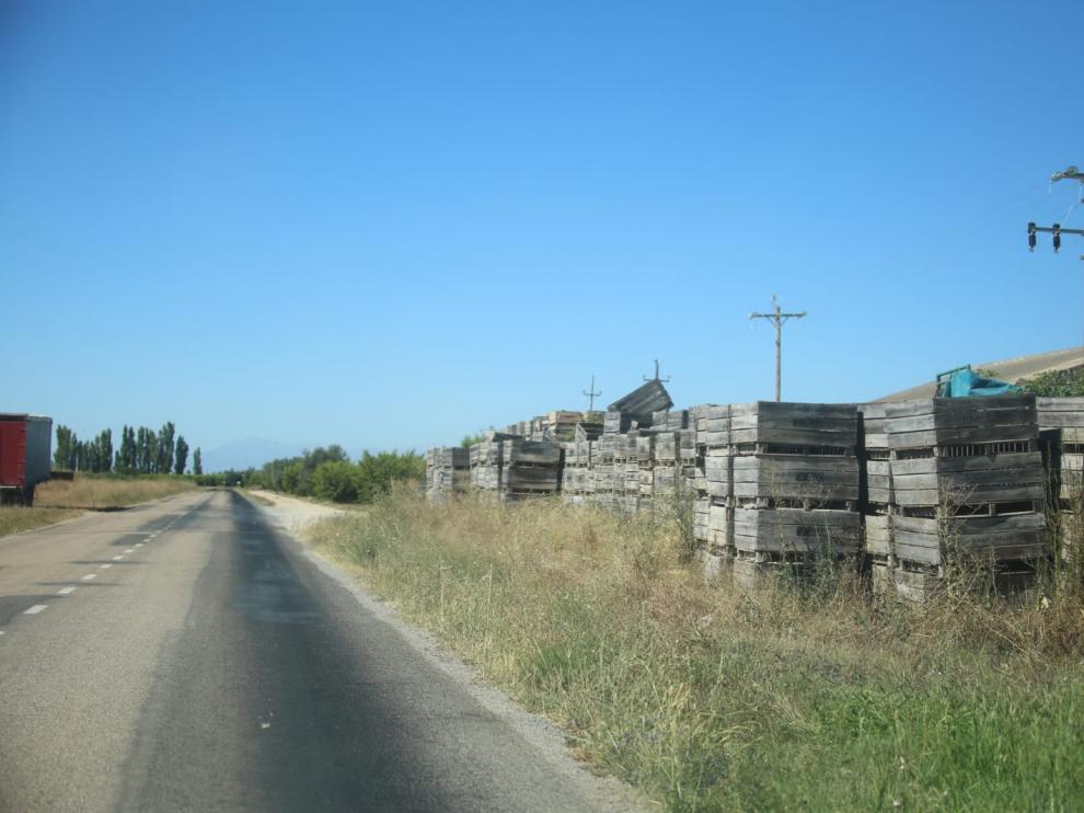 Palés de la empresa Frutas Monegros junto a las plantaciones.