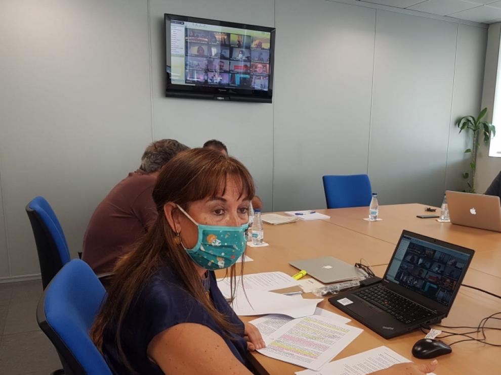 Sira Repollés, ayer durante la reunión telemática del Consejo Interterritorial de Salud