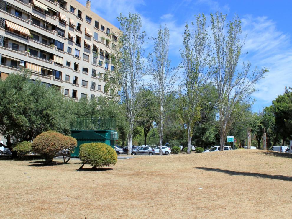 Árboles del parque de Torre Ramona