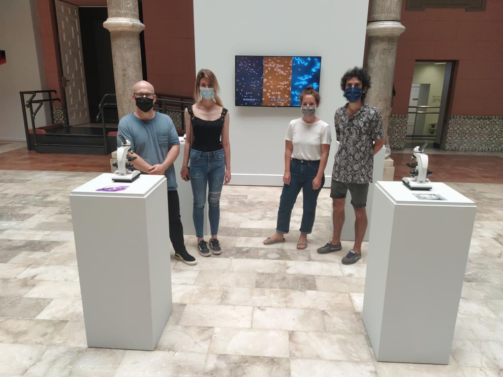 Galardonados en el XXXI Premios de arte Santa Isabel de Portugal, de la DPZ.