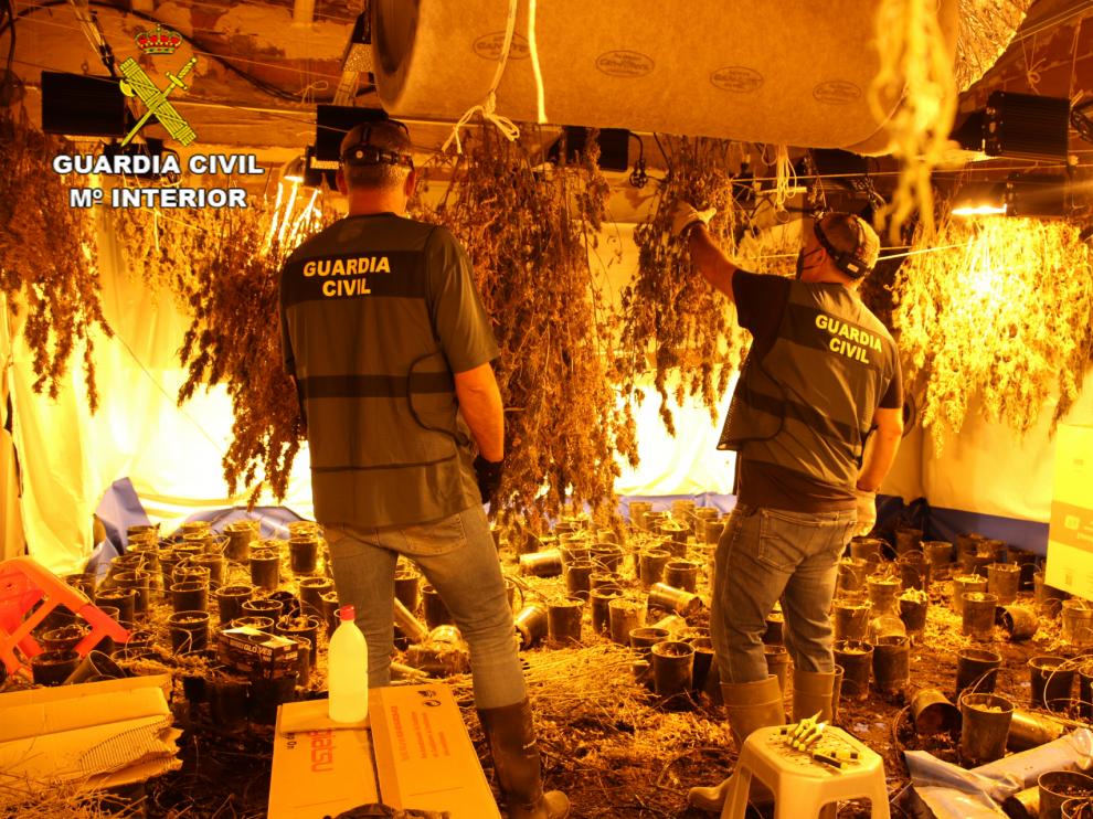 Cultivo de marihuana en el interior de una vivienda descubierto en la comarca del Matarraña..