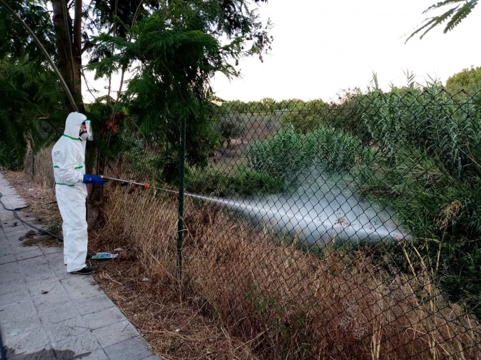 Municipios cercanos al brote aumentan la fumigación por el virus del Nilo