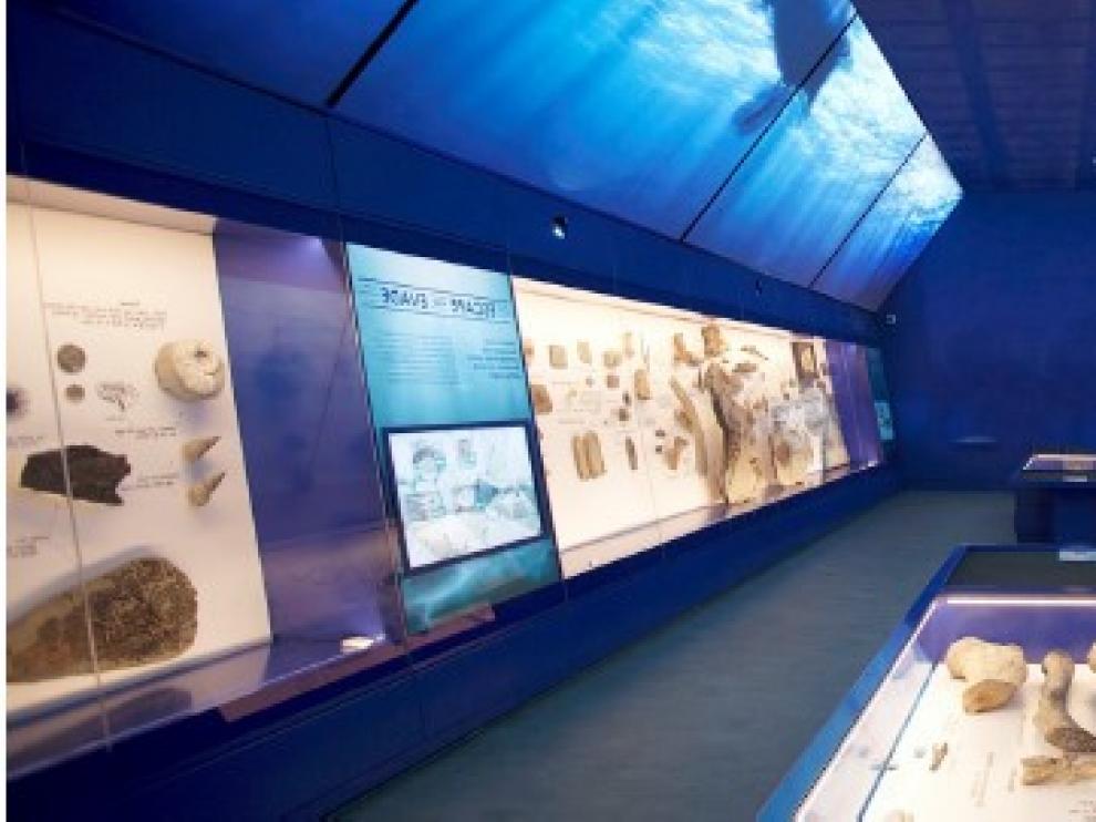 Recreación infográfica de la sala museo incluida en la nueva atracción del Mar Jurásico.