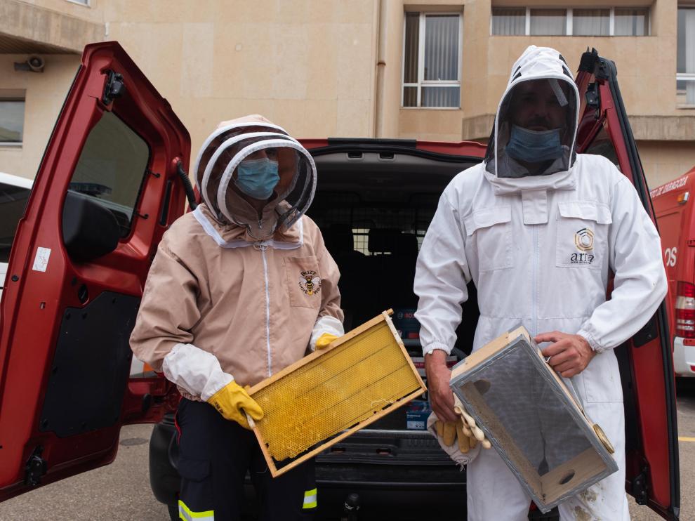 Bomberos equipados con caretas y trajes protectores contra las picaduras de abejas, en el parque de Valle de Broto.