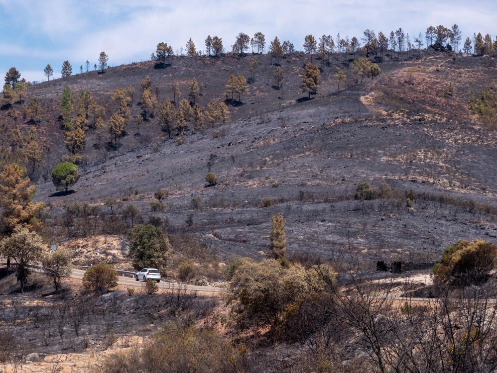 Estabilizado el incendio forestal de Huelva que afecta a 10.000 hectáreas