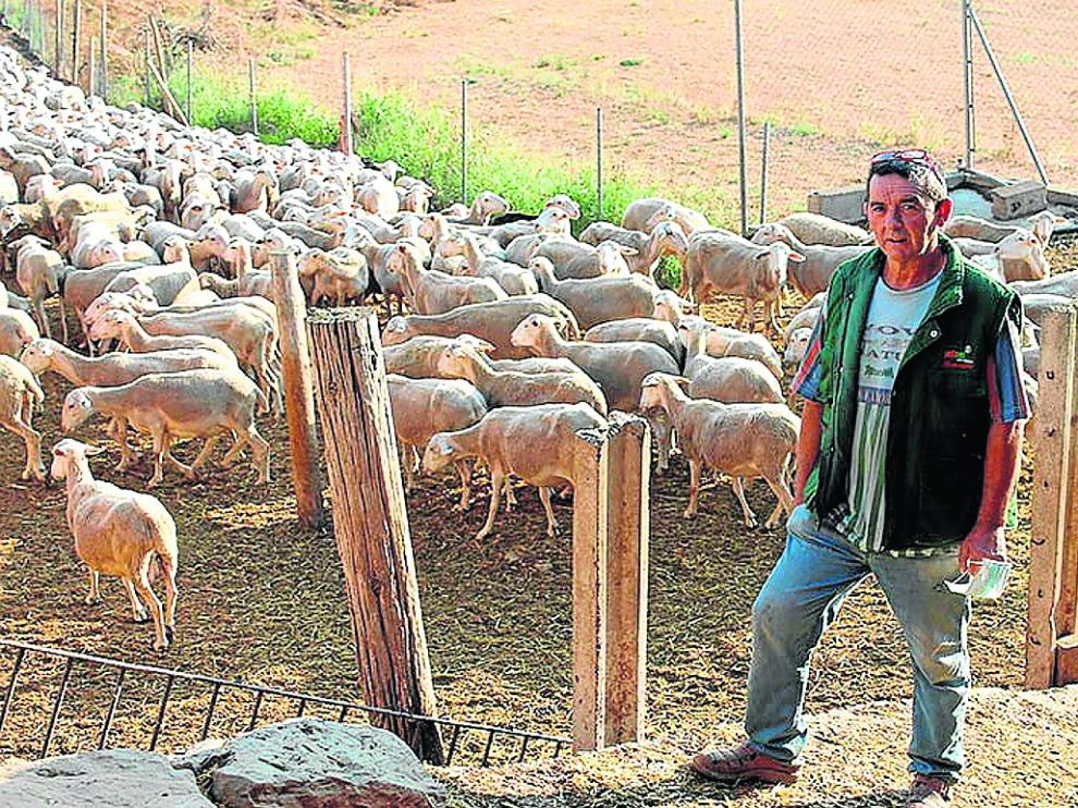 José Luis Grasa en su explotación de Siétamo (Huesca).