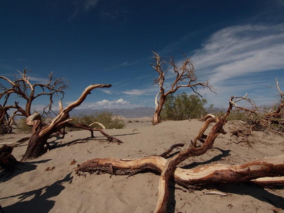 Valle de la Muerte, en California, donde se registraron 54,4 grados el pasado 16 de agosto.