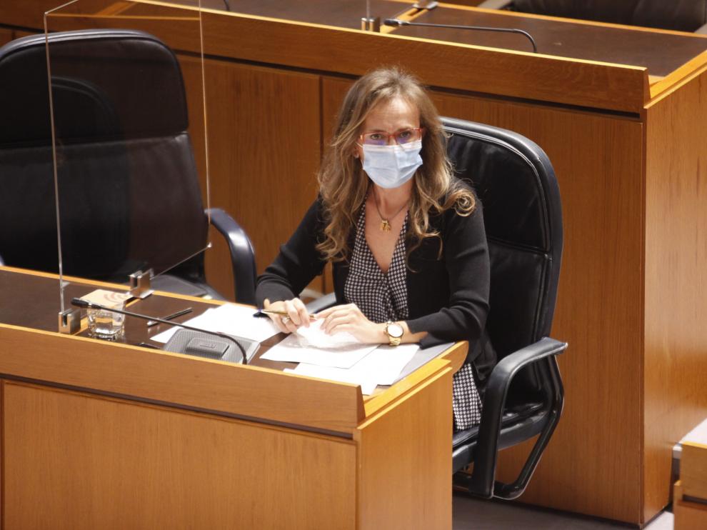 Estela Ferrer, ayer en la Comisión de Educación.