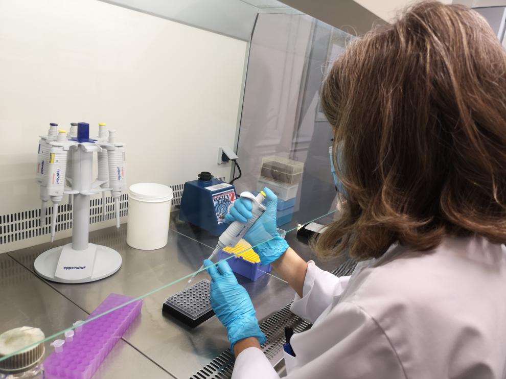 Analisis de aguas residuales en el Centro de Investigación y Tecnología Agroalimentaria de Aragón