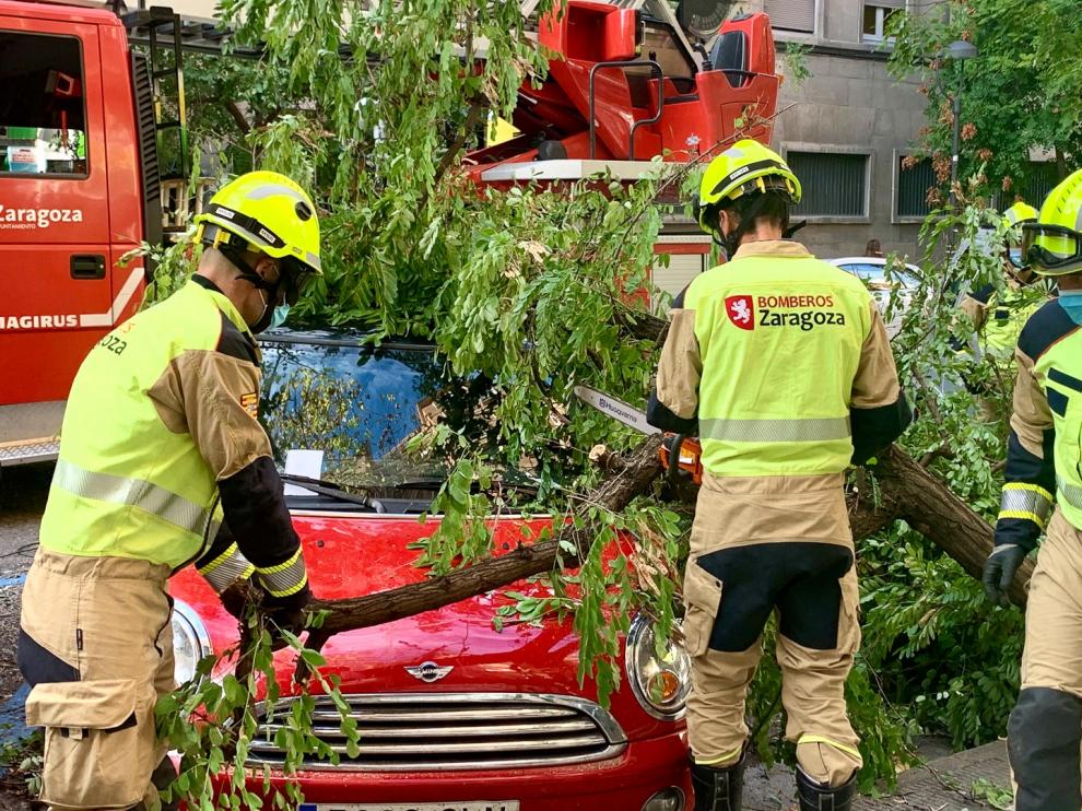 Árbol caído por el viento en la calle San Vicente Mártir de Zaragoza.