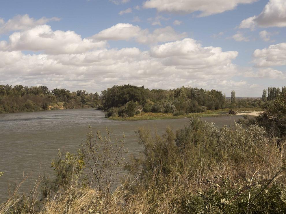 Vegetación e islas de grava en el cauce del río Ebro en Villafranca y El Burgo.