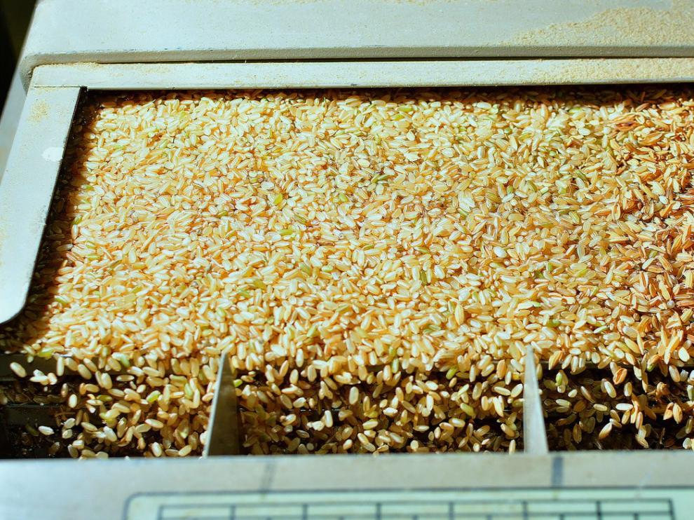 La cáscara del arroz será uno de los residuos utilizados en el proyecto Agrocirc.