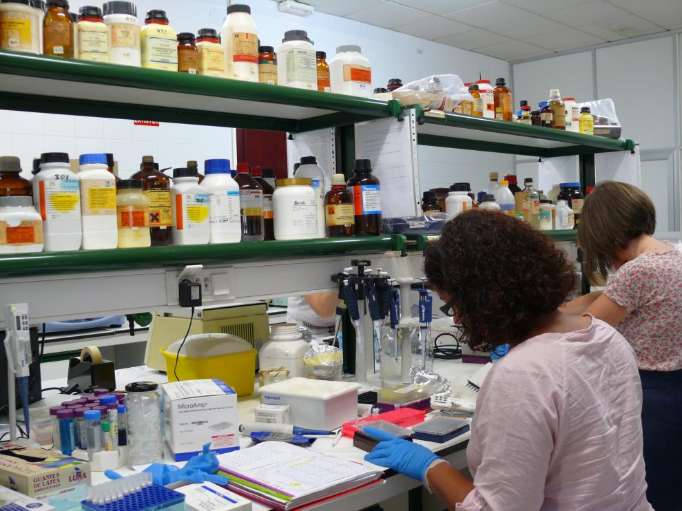 Investigadores de la Universidad de Zaragoza.