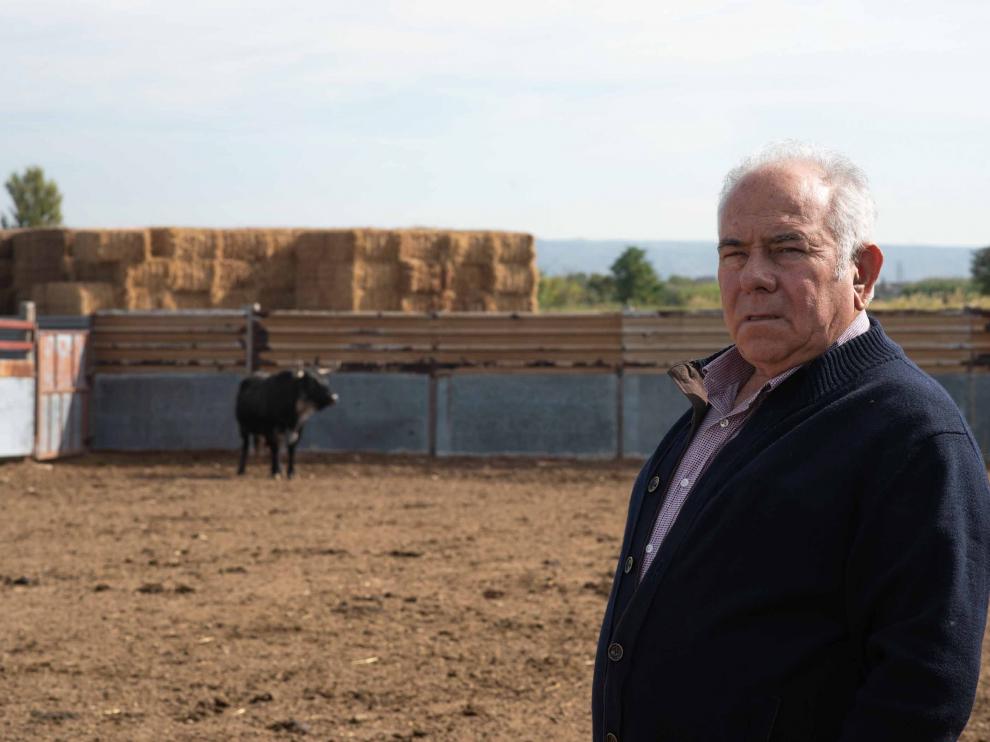Pepe Marcuello, ganadero de Los Maños, posando en la finca de Figueruelas con Quejoso al fondo.