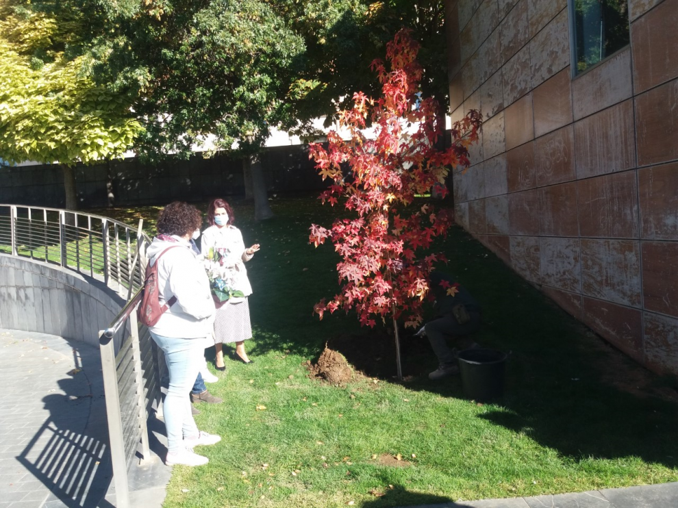 Plantación de un árbol en La Glorieta para concienciar sobre la muerte gestacional o neonatal.