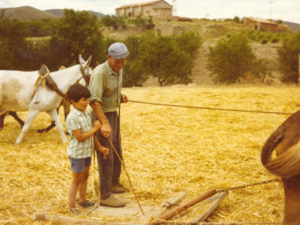 Tradición frutícola en Valtorres