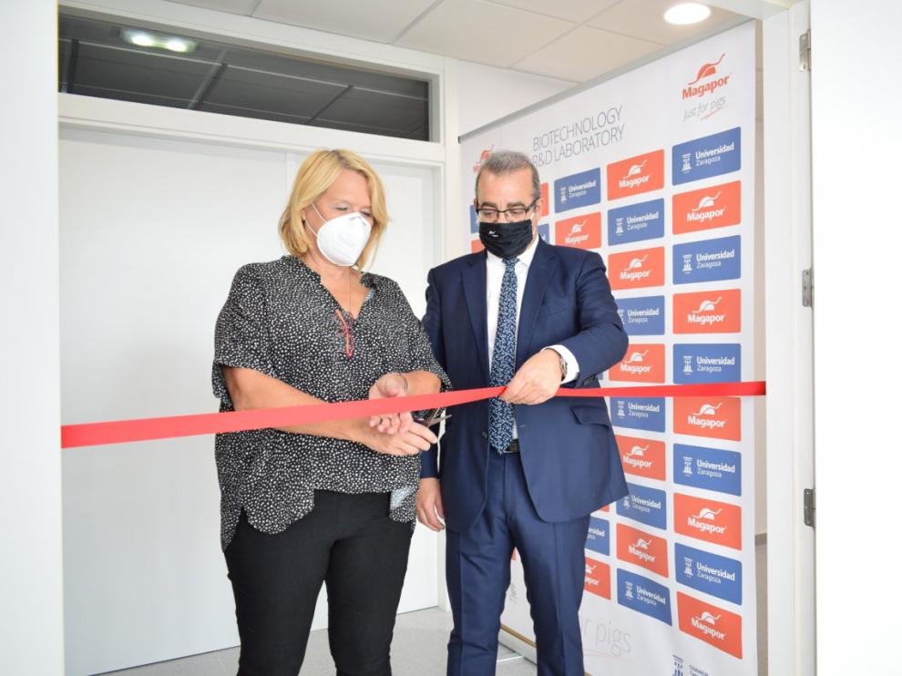 El nuevo laboratorio de Magapor analiza la toxicidad de las sustancias de los envases de las dosis seminales del porcino