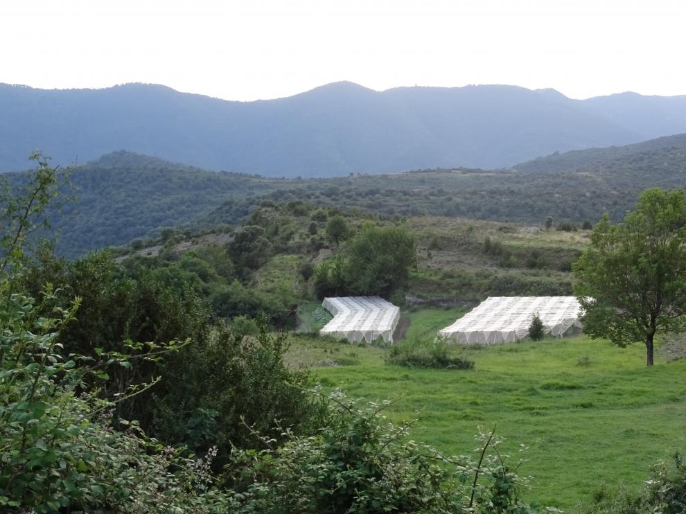Imagen de uno de los campos utilizados para realizar el proyecto de investigación.