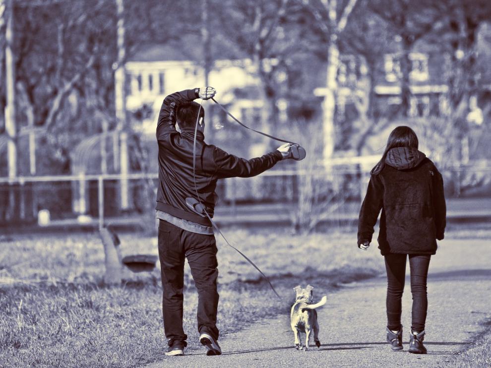 Dos personas sacan a su perro a pasear.