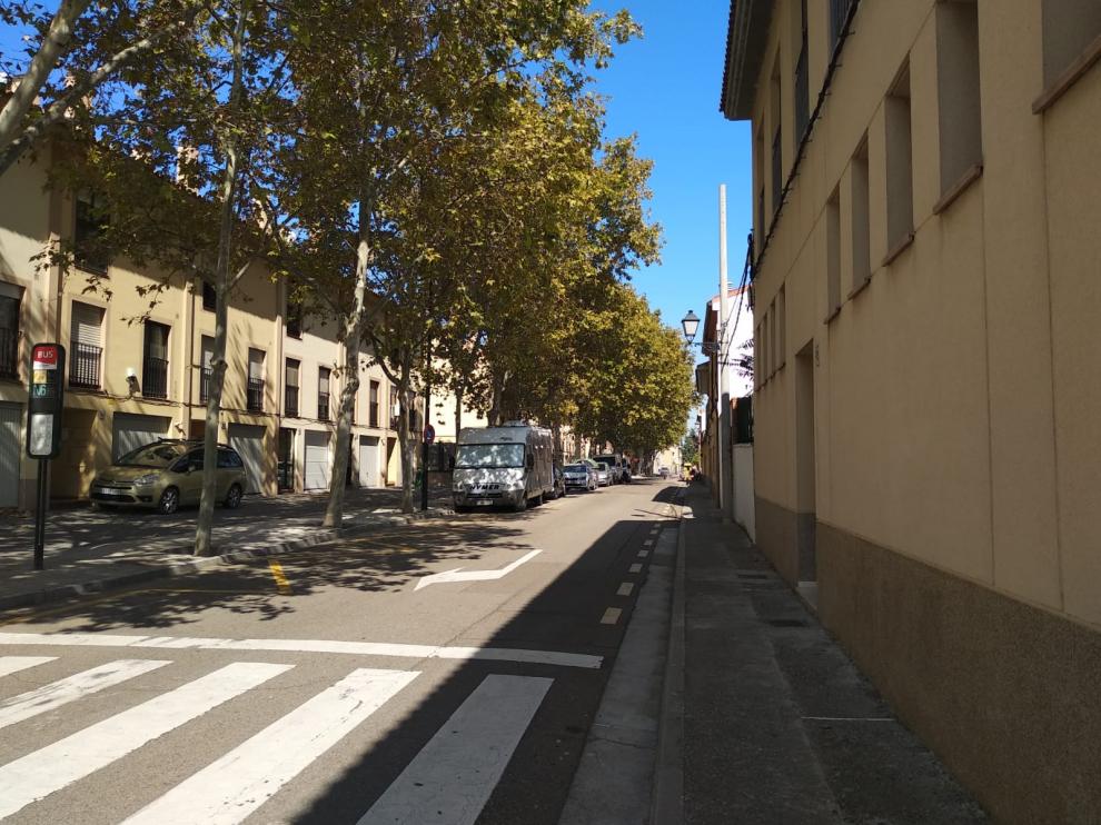 Paseo de Los Plátanos en La Cartuja Baja