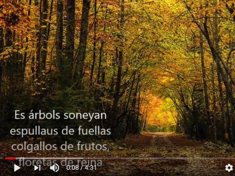 Imagen del disco