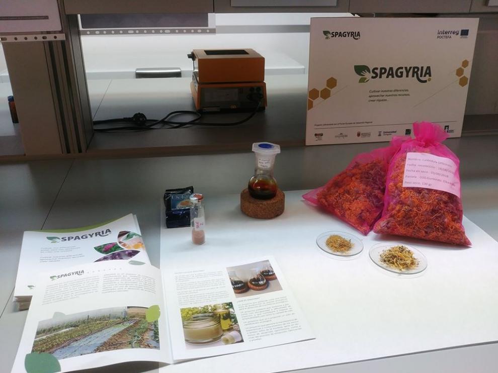 Pruebas de laboratorio del proyecto Spagyria con los extractos de las plantas aromáticas.
