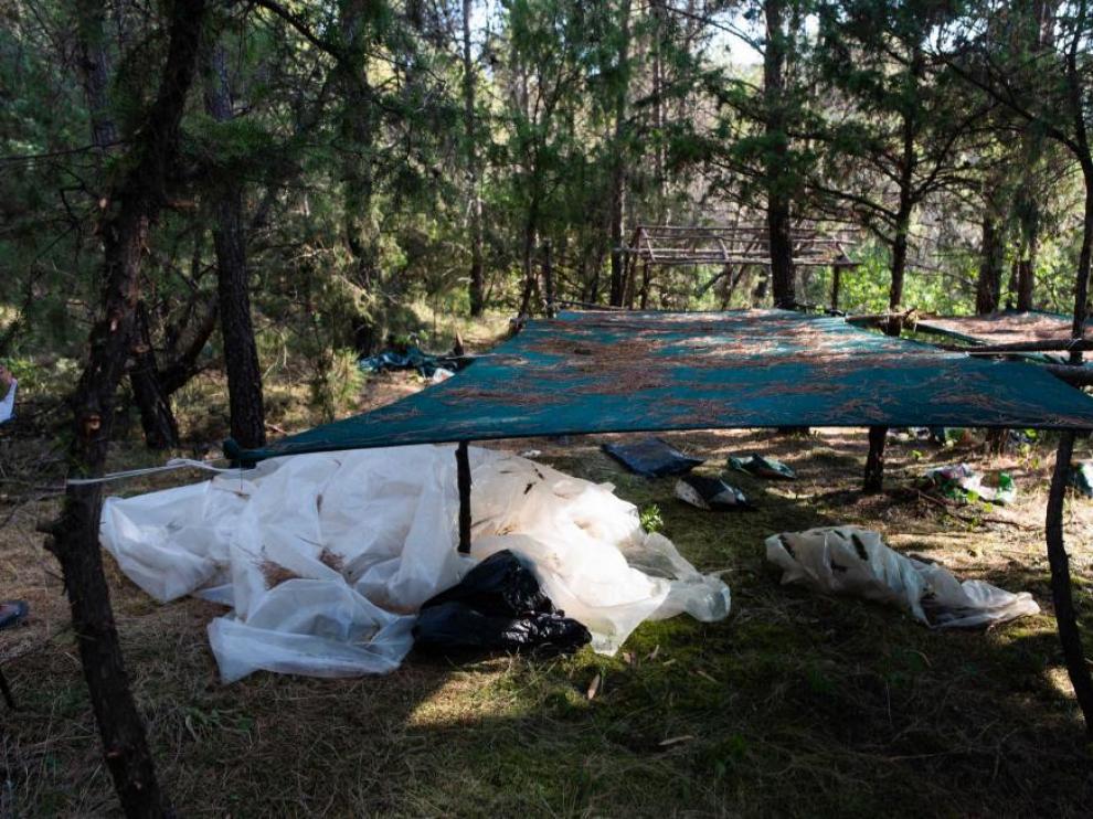 La Policía Nacional descubrió 17 pequeñas explanadas en las que se repartían más de 7.800 plantas de marihuana, con un campamento en el que los narcotraficantes vivían durante meses.