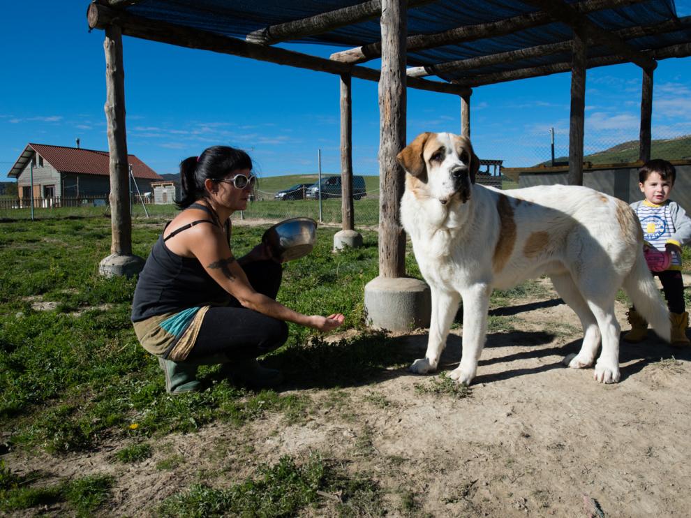 Silvia dedica su vida al cuidado de los perros y sus hijos la acompañan desde pequeños.