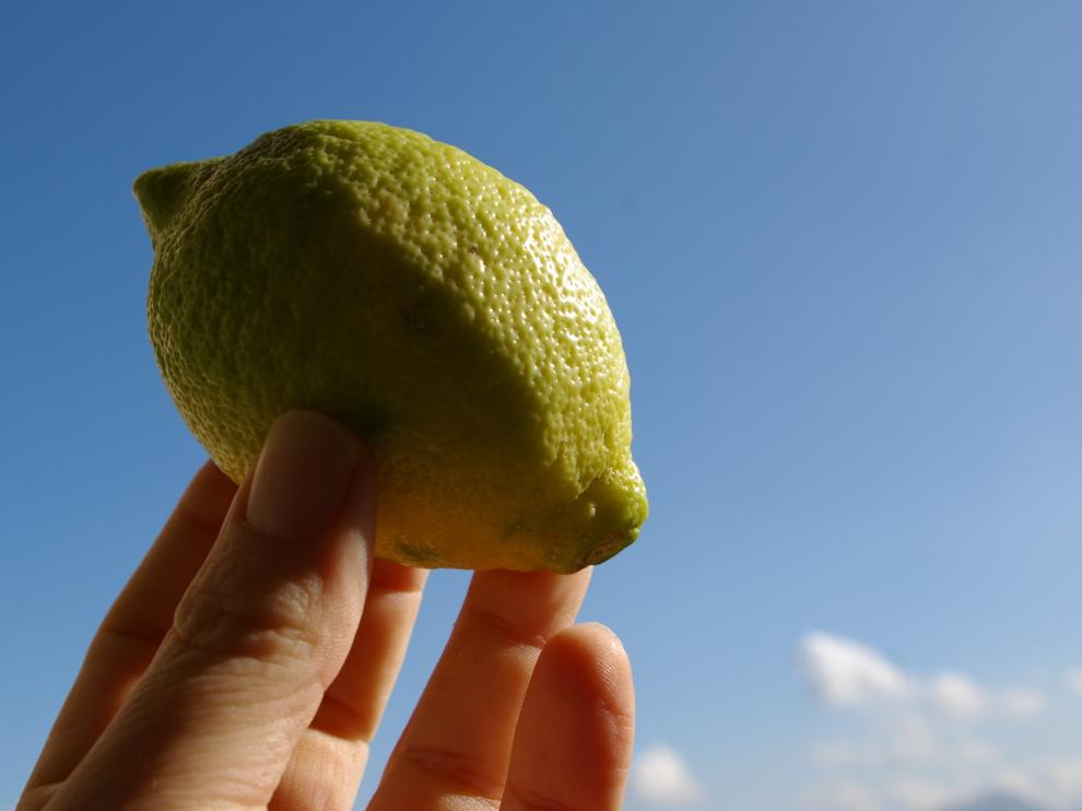 Naranjas y limones son ácidos