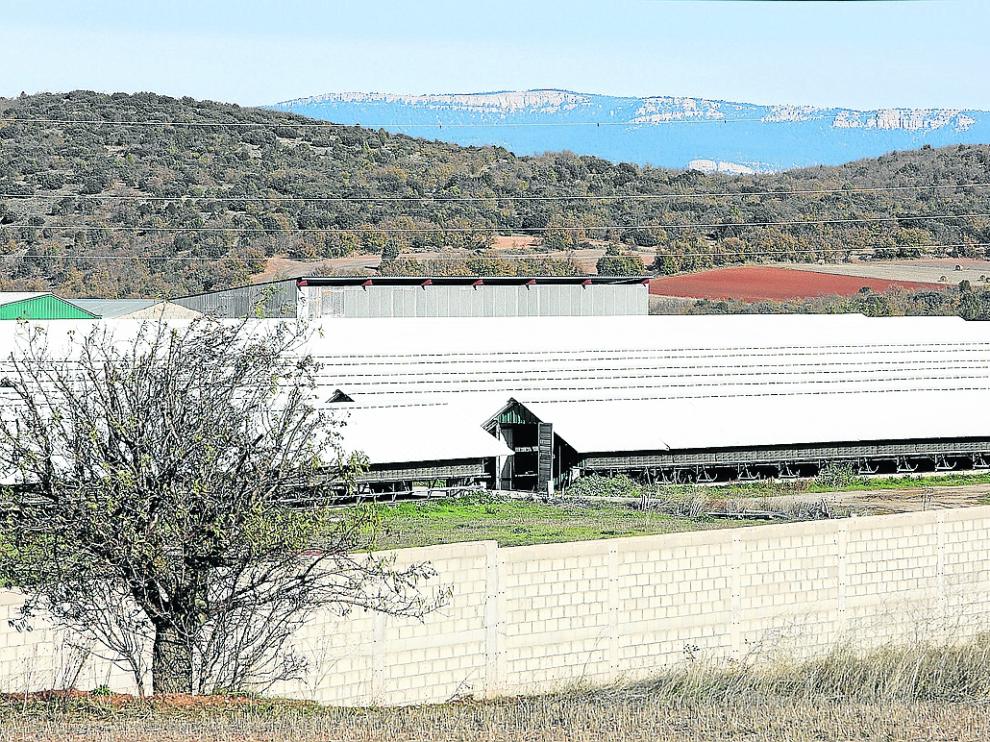 Granja de La Puebla de Valverde, Teruel, en la que se está ultimando la desinfección.