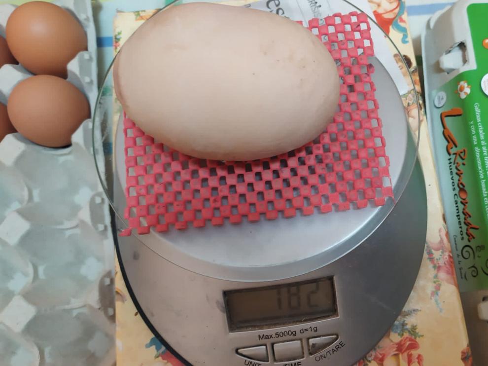Una imagen del huevo de gallinas camperas que ha batido récords por su tamaño.