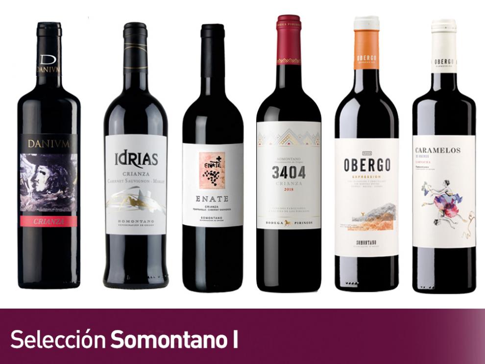 Los más valorados tintos de la Selección Somontano I.