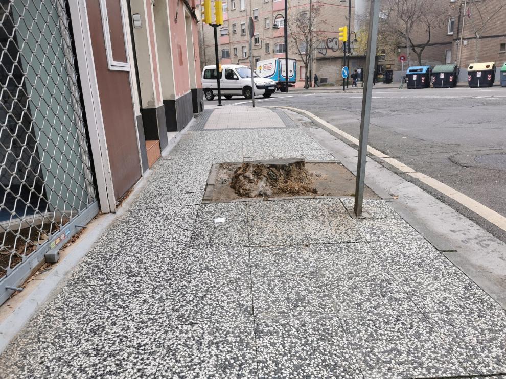 Alcorque problemático en la calle Jorge Cocci de Zaragoza