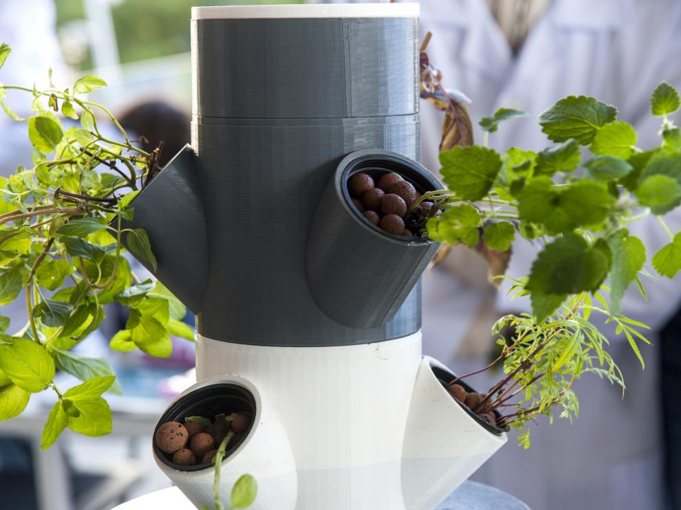 Prototipo de cultivo hidropónico del proyecto ‘Innofarming, desarrollado por el Instituto Agroalimentario de Aragón.