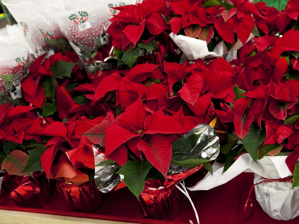 A pesar de la pandemia, la Navidad seguirá llegando a los hogares.